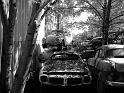 Autofriedhof - 164
